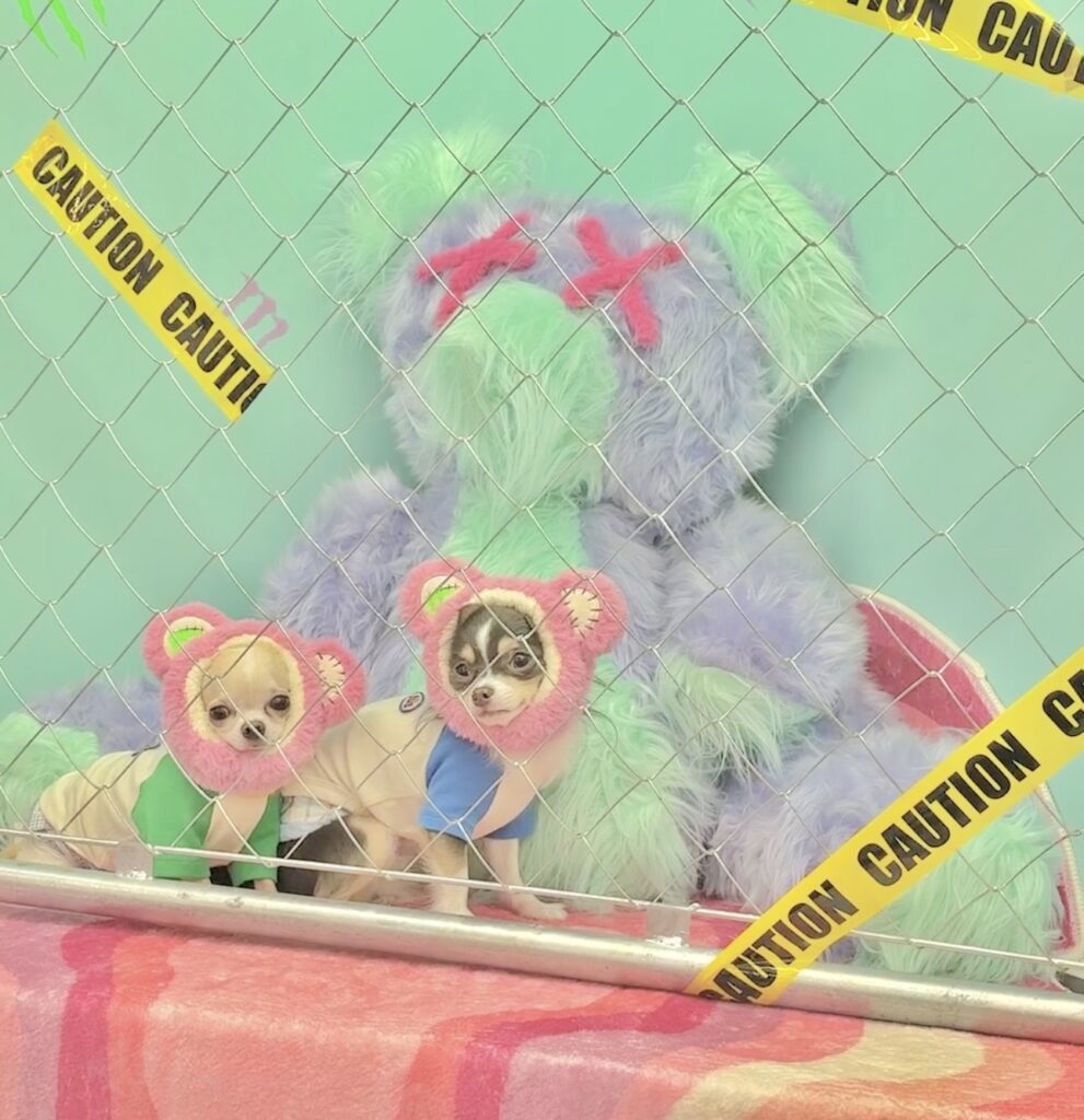 ZOMBIE