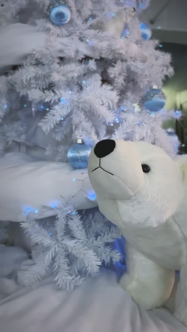 こんにちは🎄✨
HanBunLong studioです🎅

本日よりクリスマスブース始まりました✨

今回は照明を暗めにしてイルミネーションを使用するという新しい試みです💡
最近のスマホカメラは性能が良いので綺麗に写ると思いますが、ご希望の方にはスポットライトを追加しますので、スタッフまでお気軽にお申し付けください👍

他のシーズンにはないクリスマスならではの雰囲気をぜひ楽しんでください🎅✨